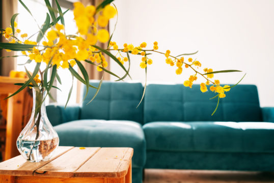 living room with a blue sofa, bright flowers