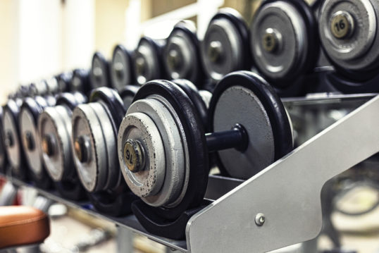 dumbbells at the gym