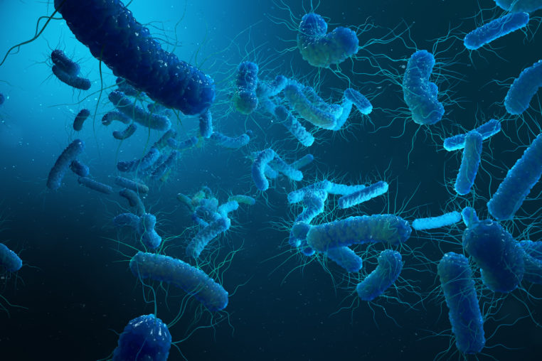 bacteria 3D illustration