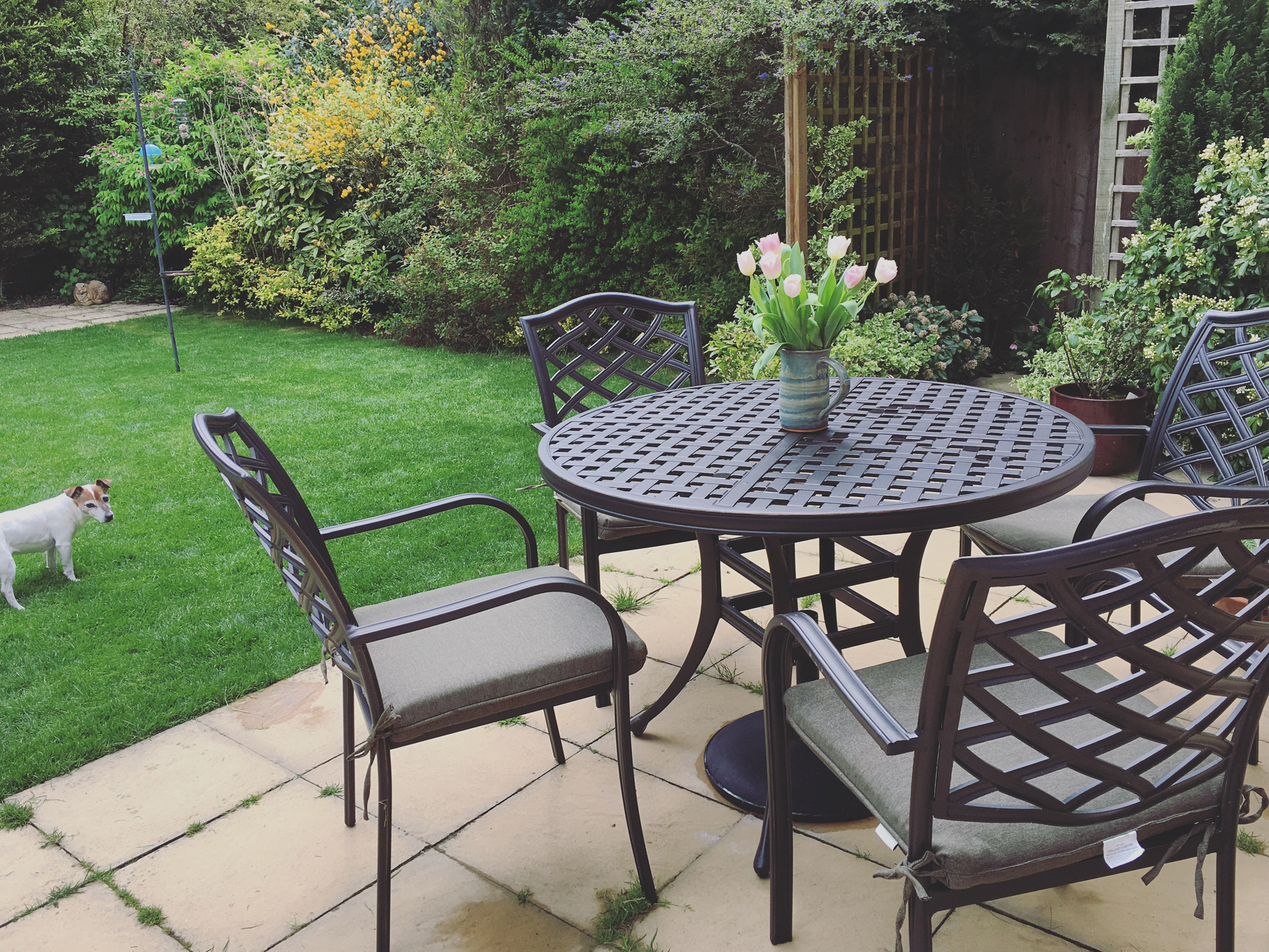 garden and furniture in an English home